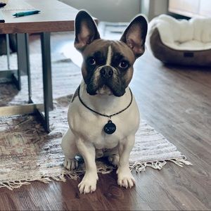 Meet your Posher, Lori